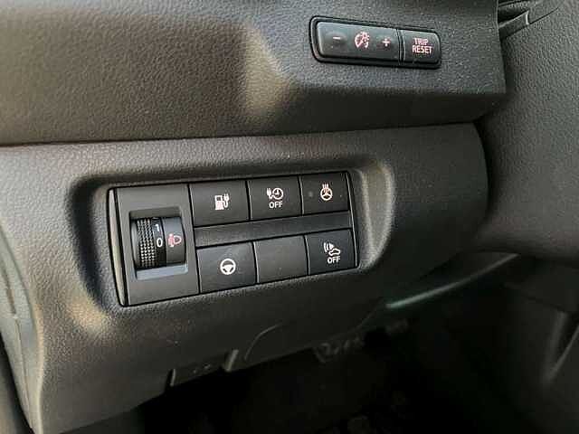 Nissan Leaf 2&ordf; serie Leaf e+ 10th Anniversary